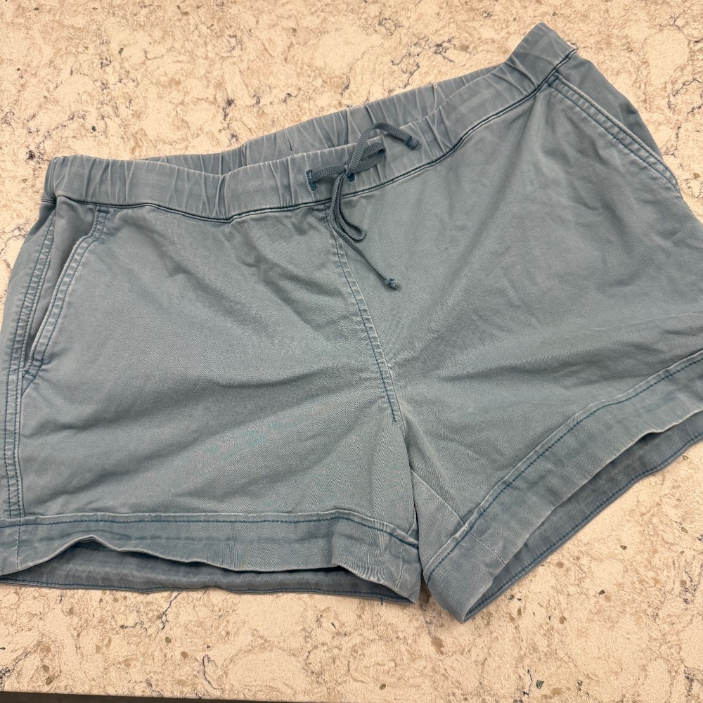 Pre- Owned Women's Carve Designs Jackson‎  blue Short Size 10 -cp